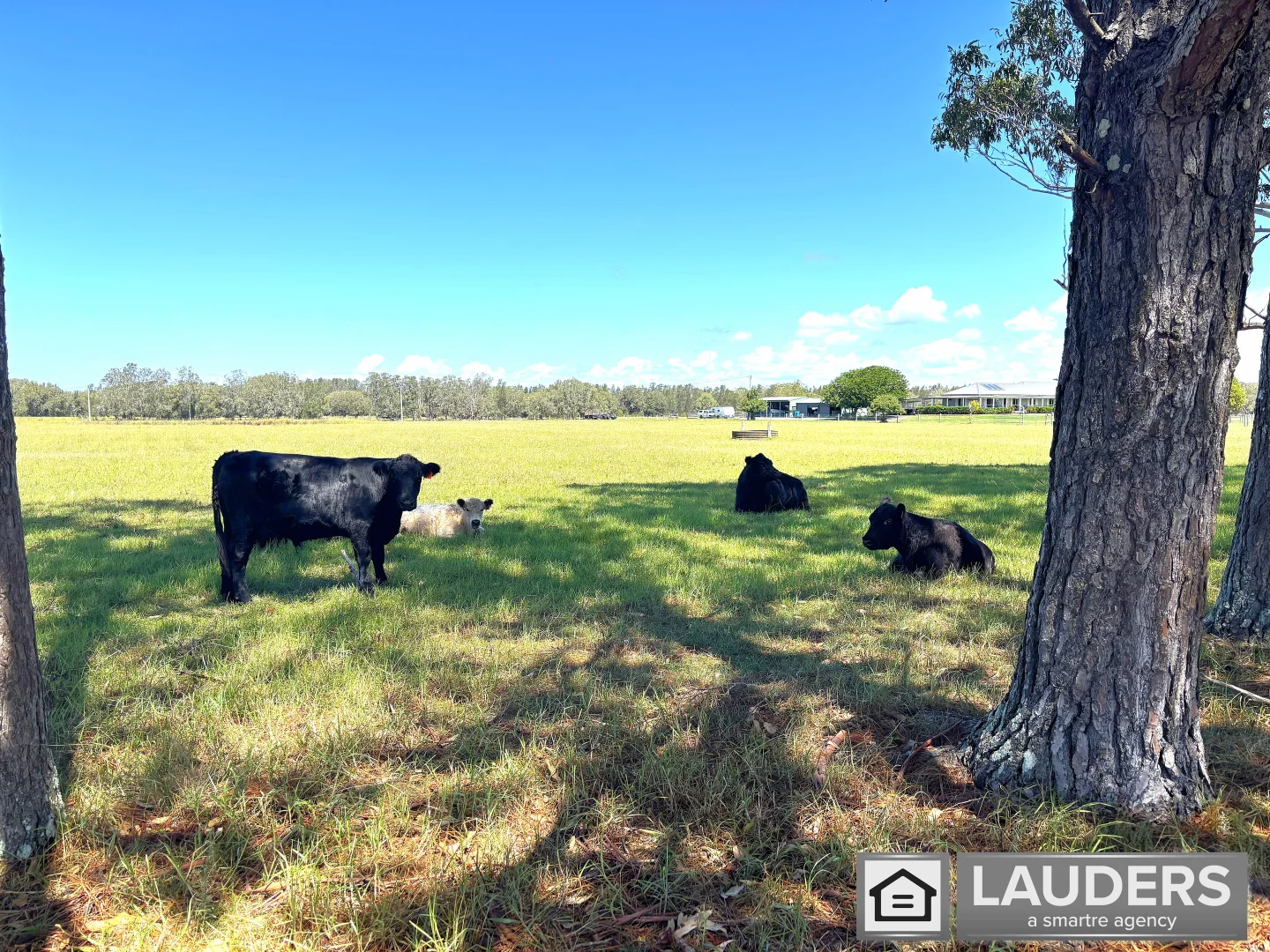 Additional image 44 of 700 Manning Point Road, Oxley Island NSW 2430