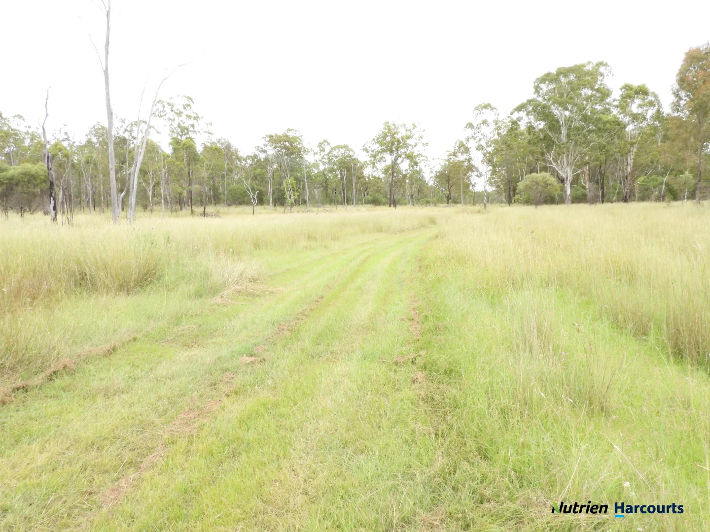 Additional image 25 of 754 Pedersens Road, Dangore QLD 4610