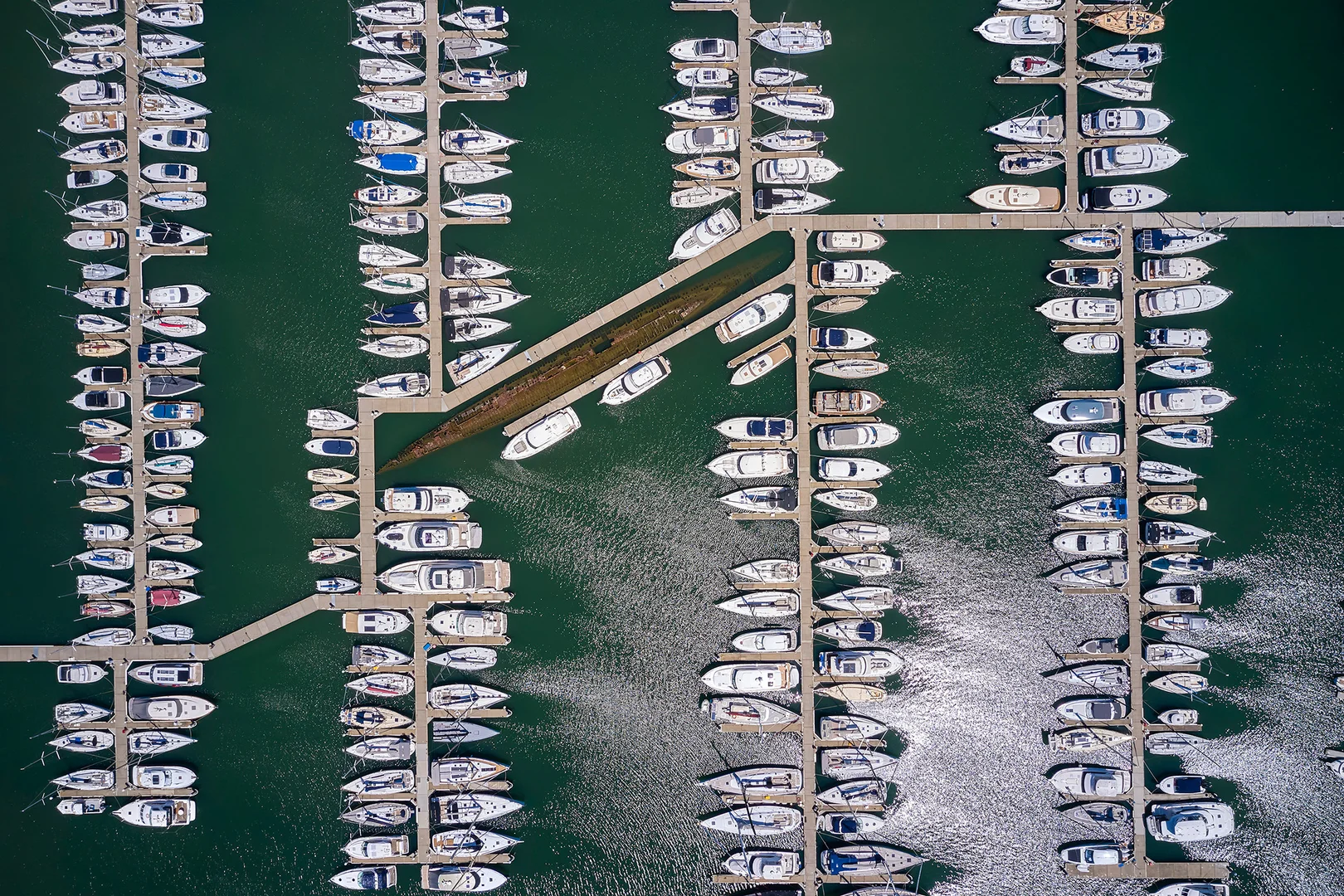 Additional image 19 of 3/9 Waltham Street, Sandringham VIC 3191