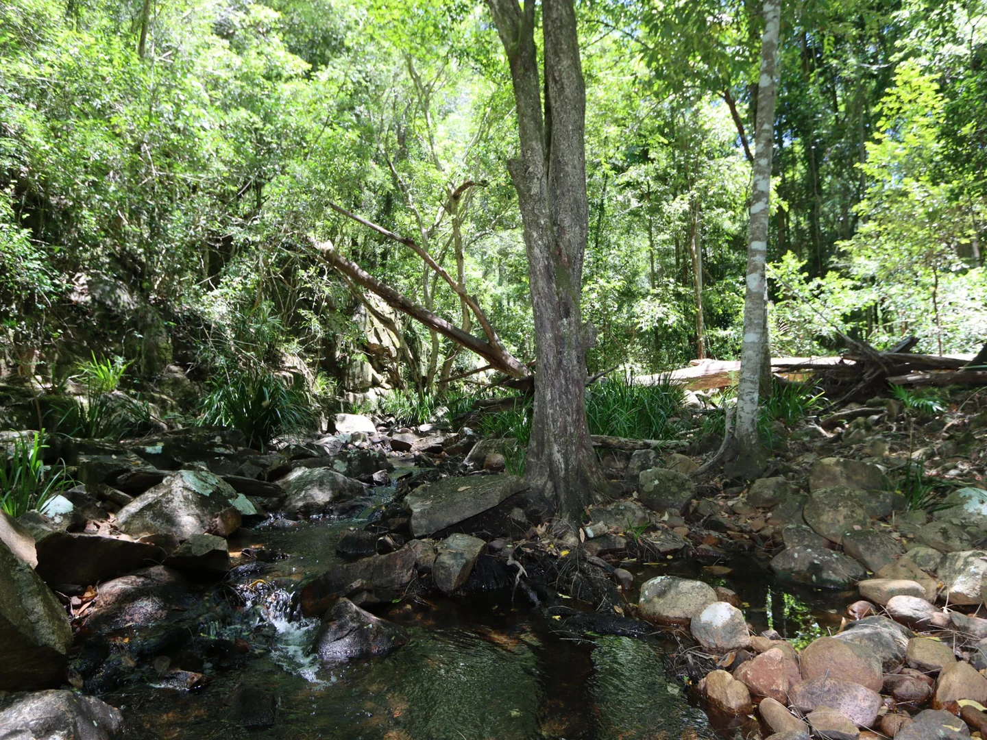 Additional image 4 of 62 Holey Flat Lane, Moorland NSW 2443