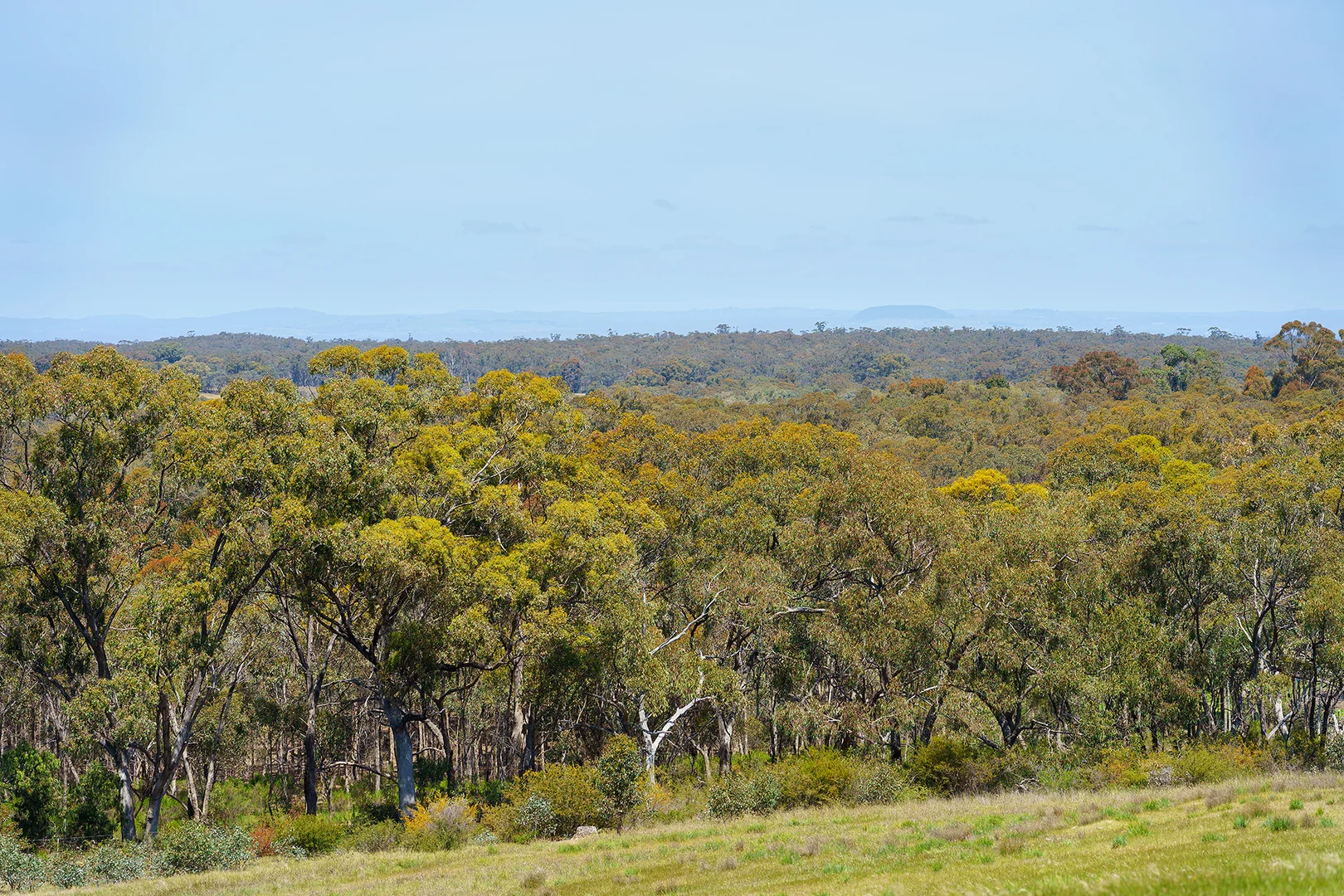 Additional image 8 of 186 Bells Reef Road, Maldon VIC 3463