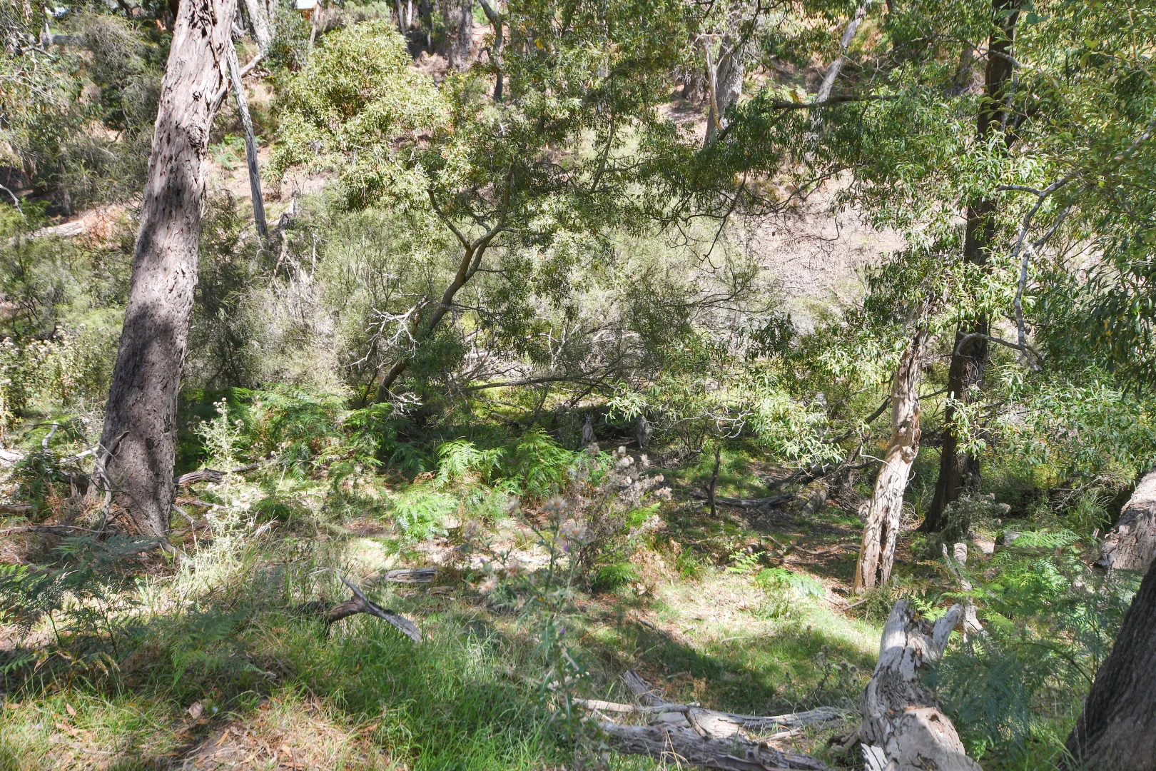 Additional image 7 of 30 Bundaleer Drive, Halls Gap VIC 3381