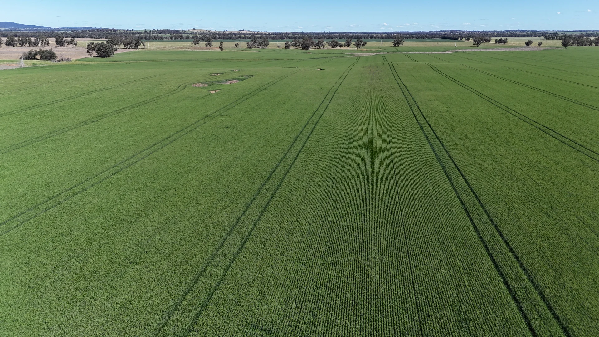 Additional image 9 of 861 Kadina Road, Parkes NSW 2870