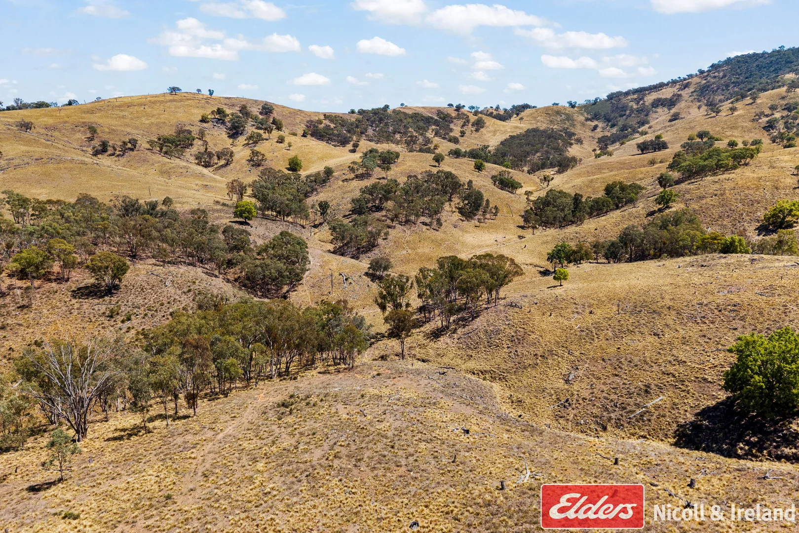 Additional image 25 of 3548 The Bridle Track, Bruinbun NSW 2795