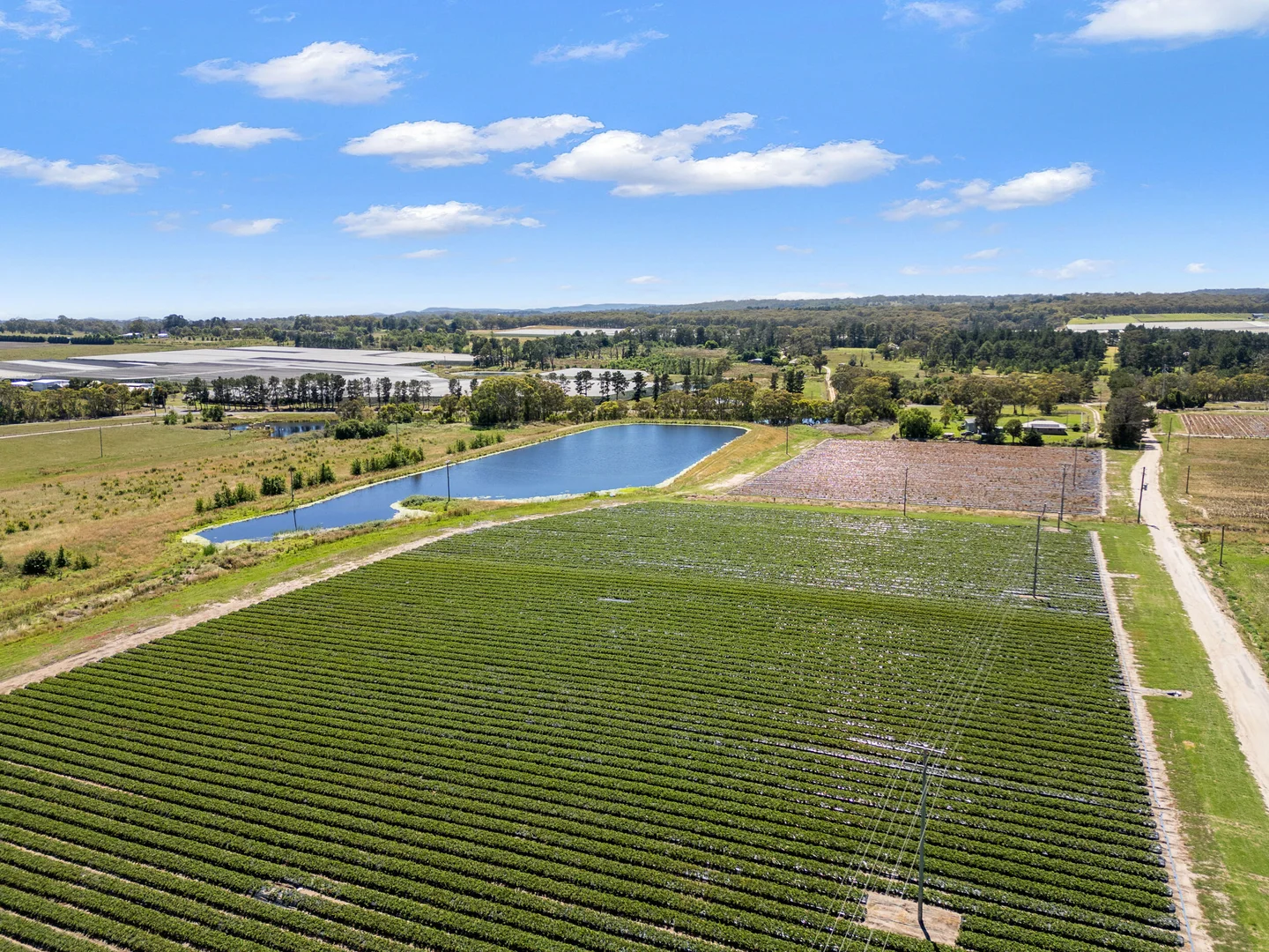 Additional image 4 of 193 Newlands Rd, Cottonvale QLD 4375