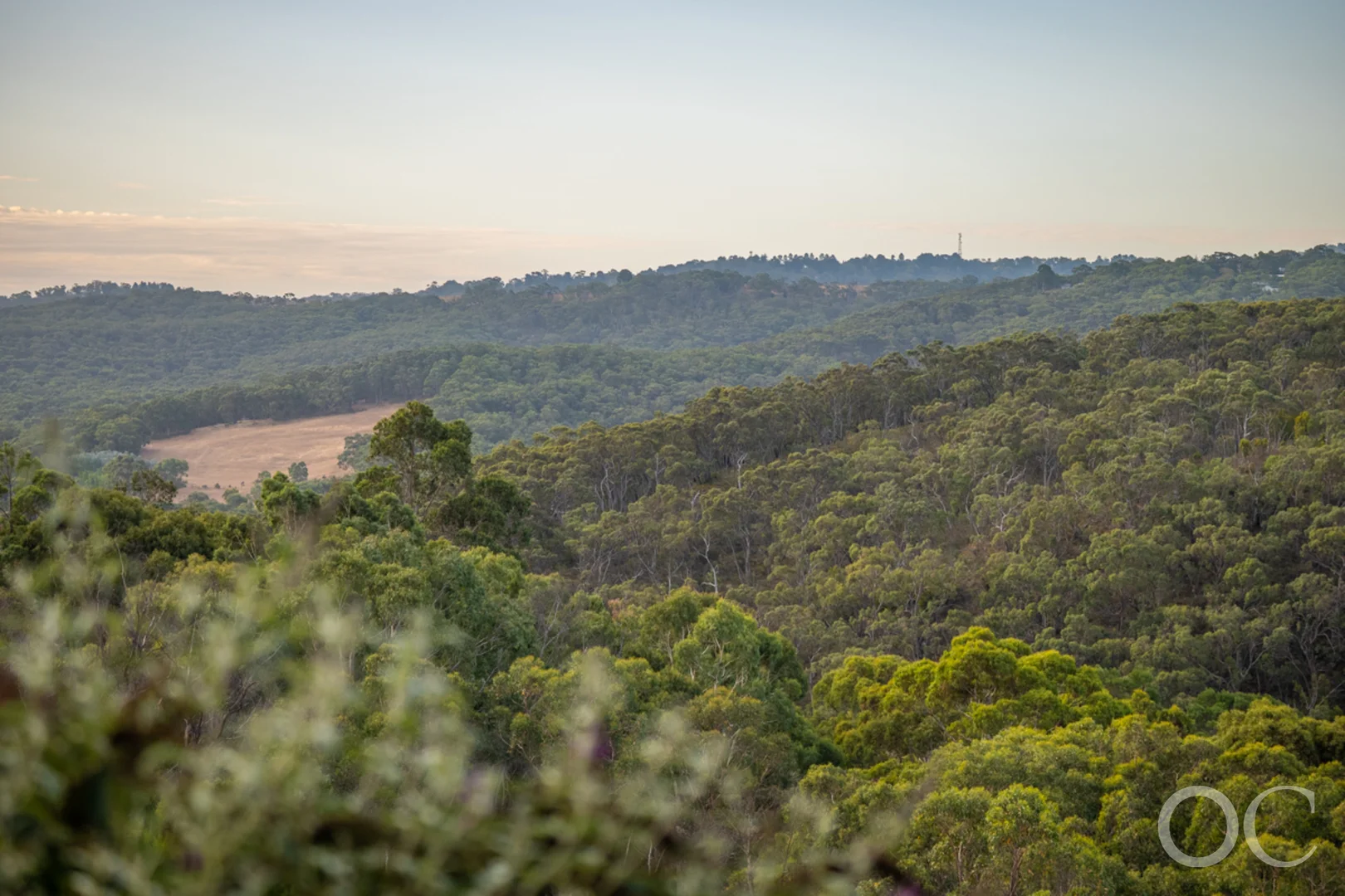 Additional image 34 of 4 Brown Road, Bradbury SA 5153