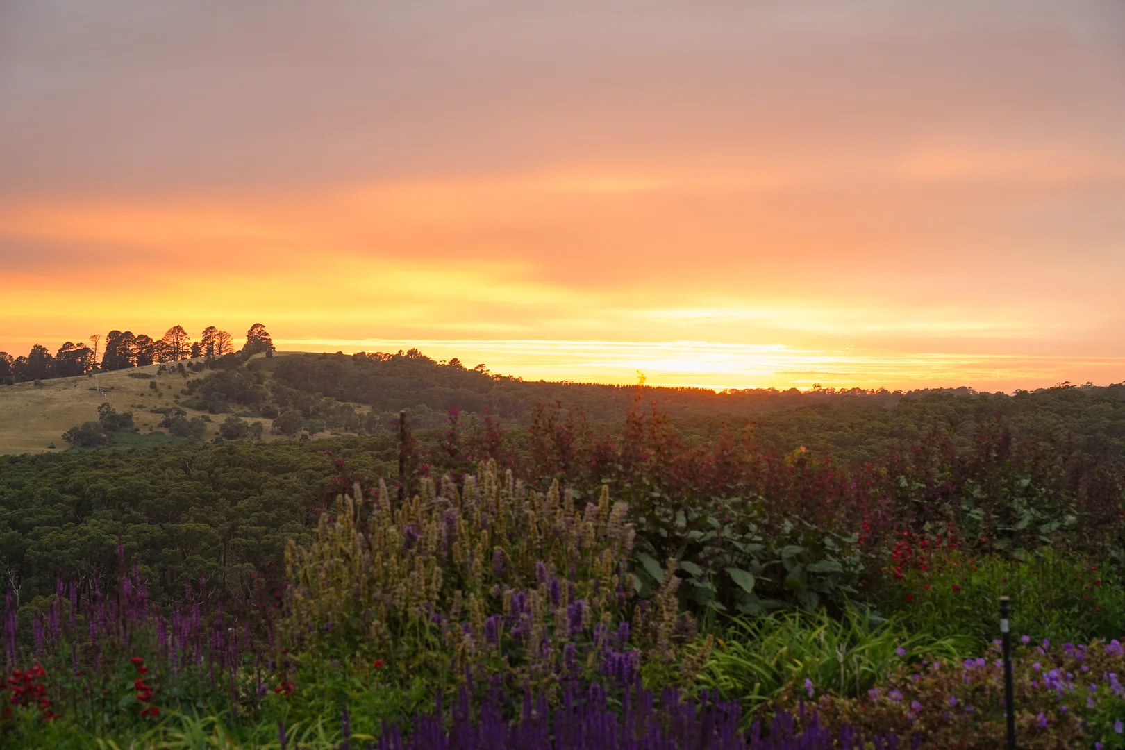 Additional image 31 of 20 Belty Drive, Denver VIC 3461