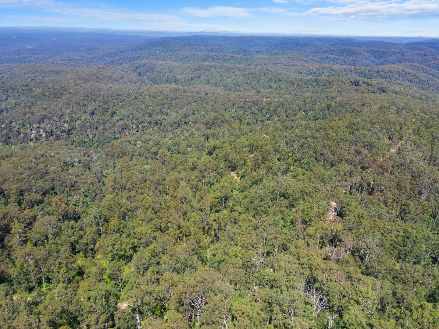 Additional image 14 of 1058 Bakers Road, Putty NSW 2330