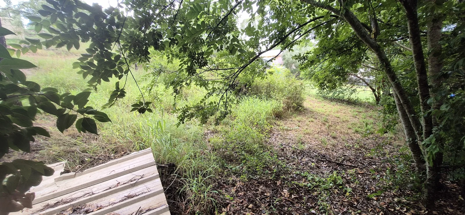 Additional image 5 of 6 Mayne Street, Goomeri QLD 4601