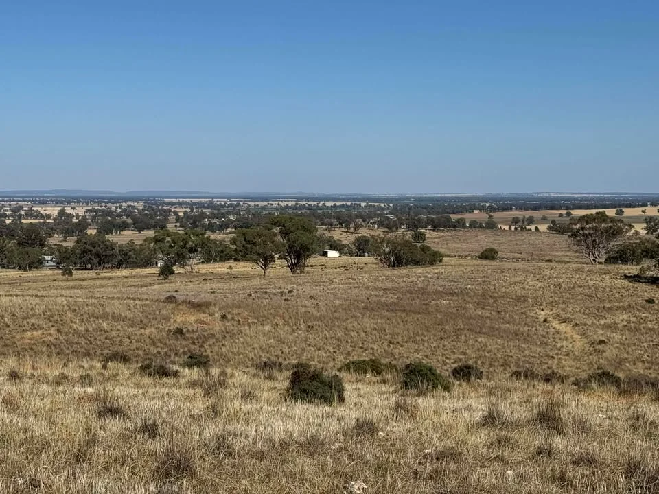 Additional image 8 of 117 Hillside Lane, Parkes NSW 2870