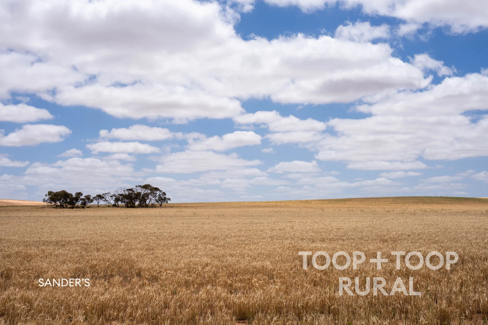 Additional image 30 of 833 Walshs Bore Road, Copeville SA 5308
