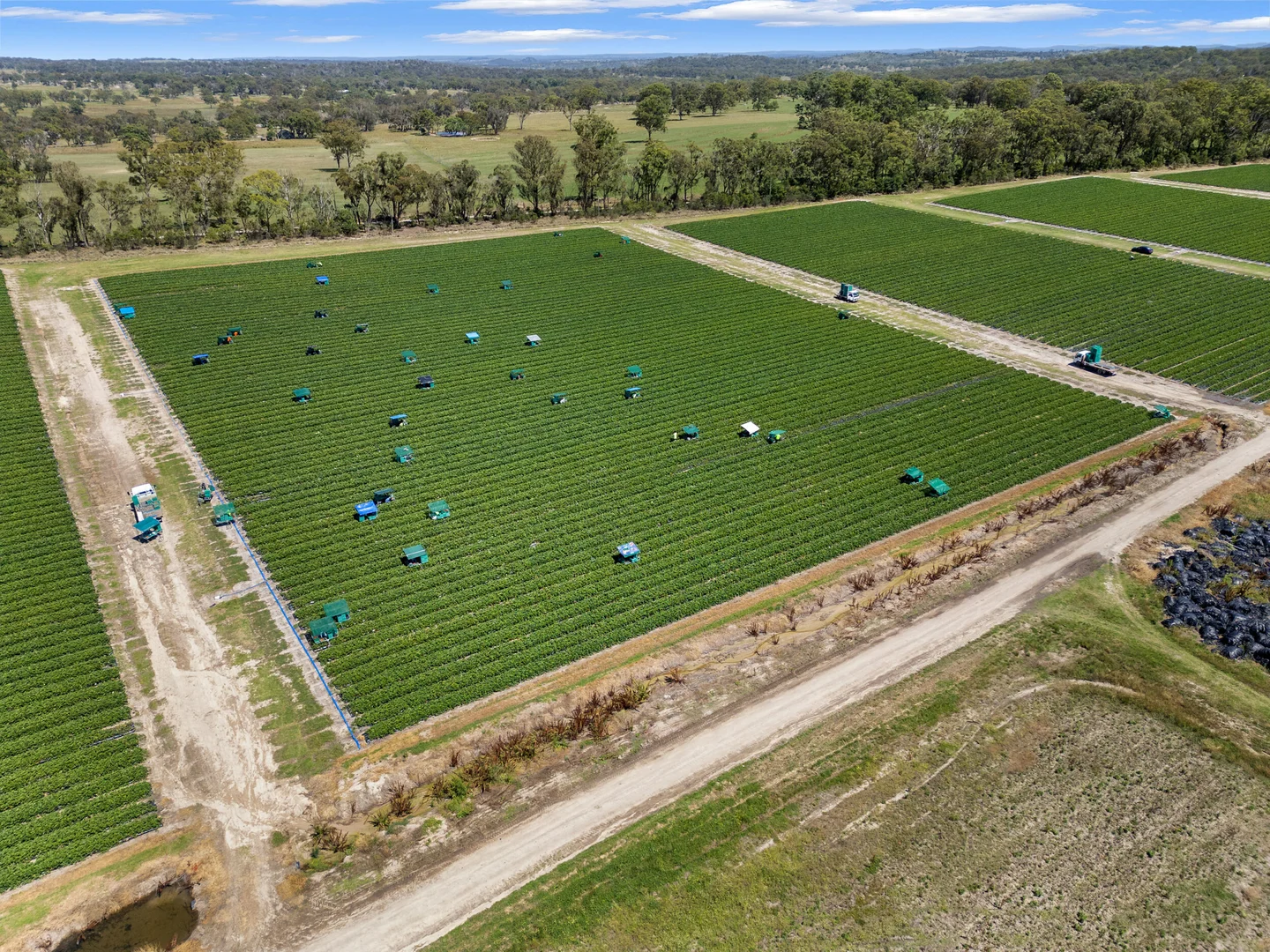 Additional image 11 of 193 Newlands Rd, Cottonvale QLD 4375