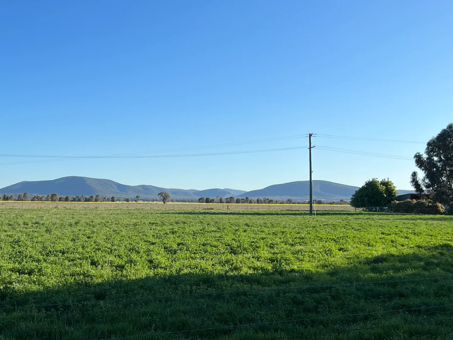 Additional image 13 of Gooloogong NSW 2805