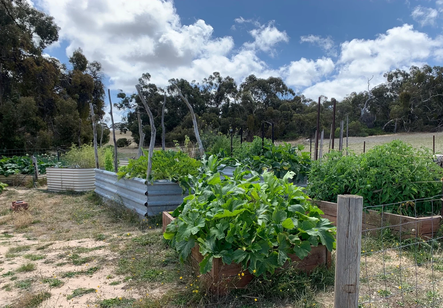 Additional image 19 of 839 Signal Flat Road, Finniss SA 5255