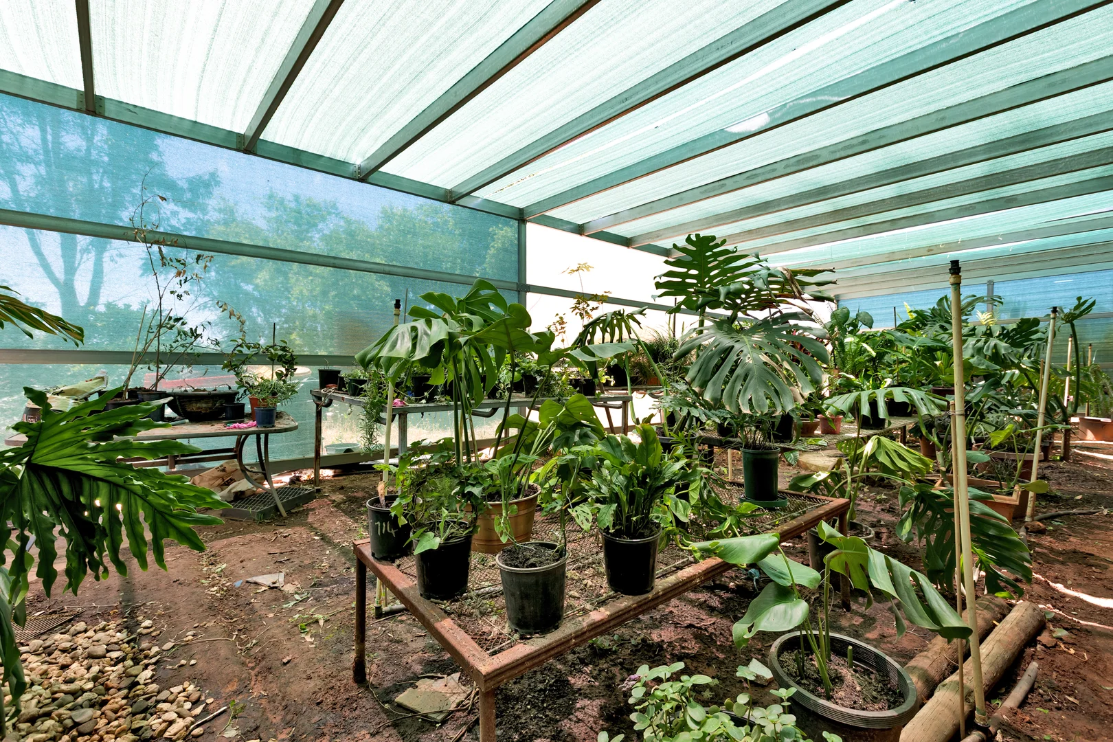 Additional image 19 of 375 Gol Gol North Road, Gol Gol NSW 2738