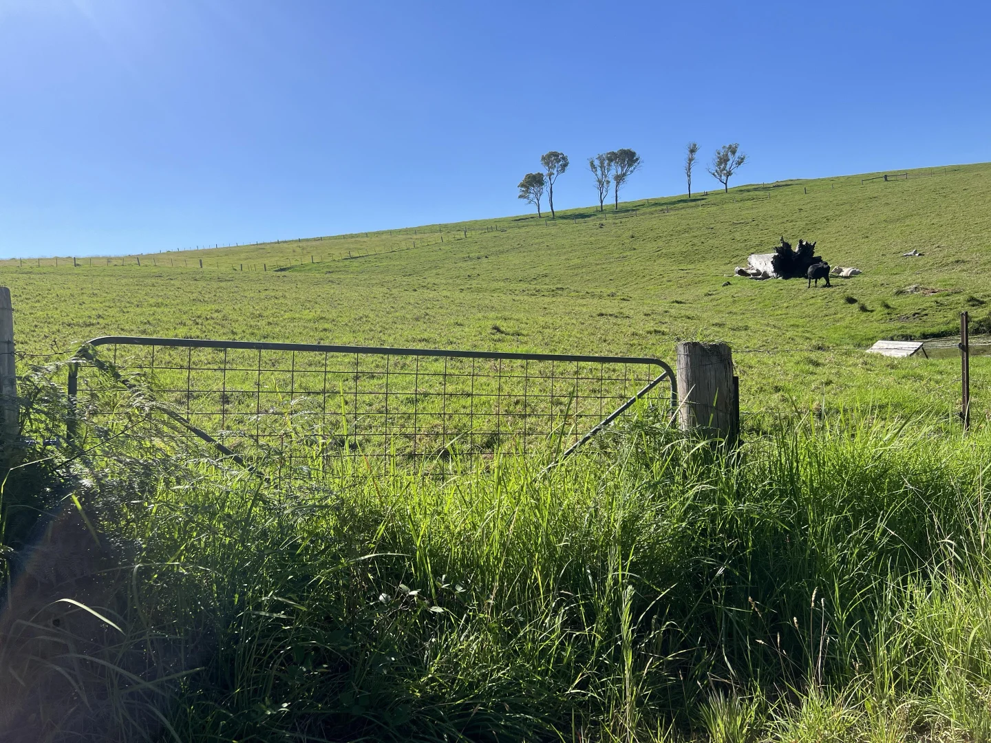 Additional image 5 of 471 Princes Highway, Orbost VIC 3888