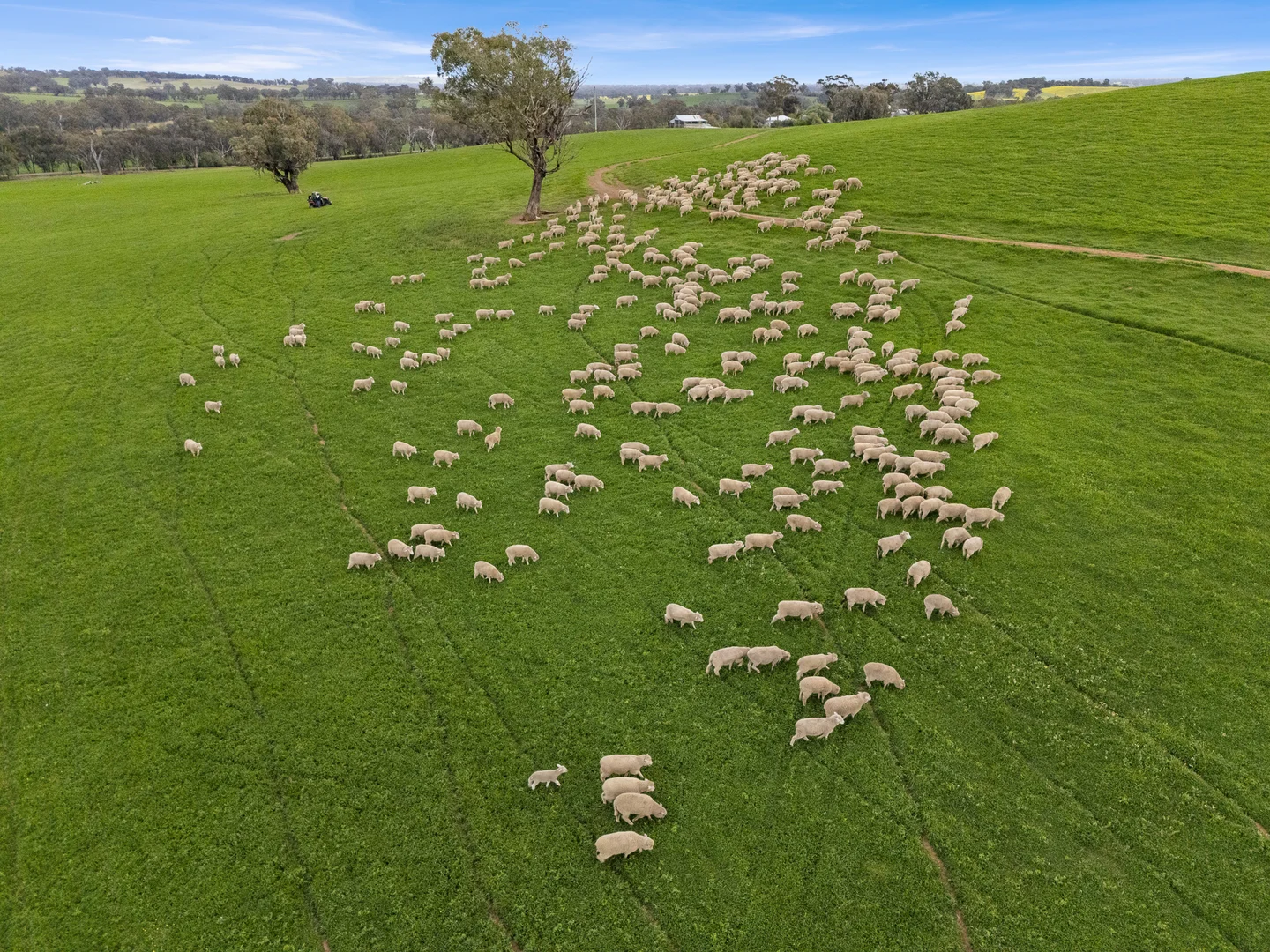 Additional image 31 of 2056 Benalla-Yarrawona Road, Bungeet West VIC 3726