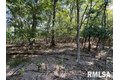 Additional image 3 of Barnett St, Carterville, IL, 62918