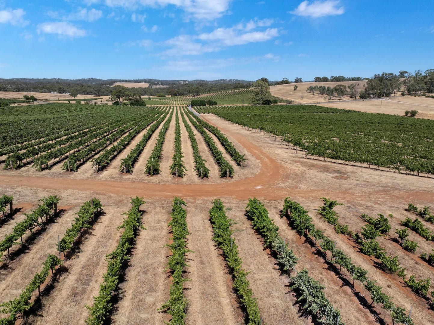 Additional image 22 of Lot 20 Spring Farm Road, Spring Farm SA 5453