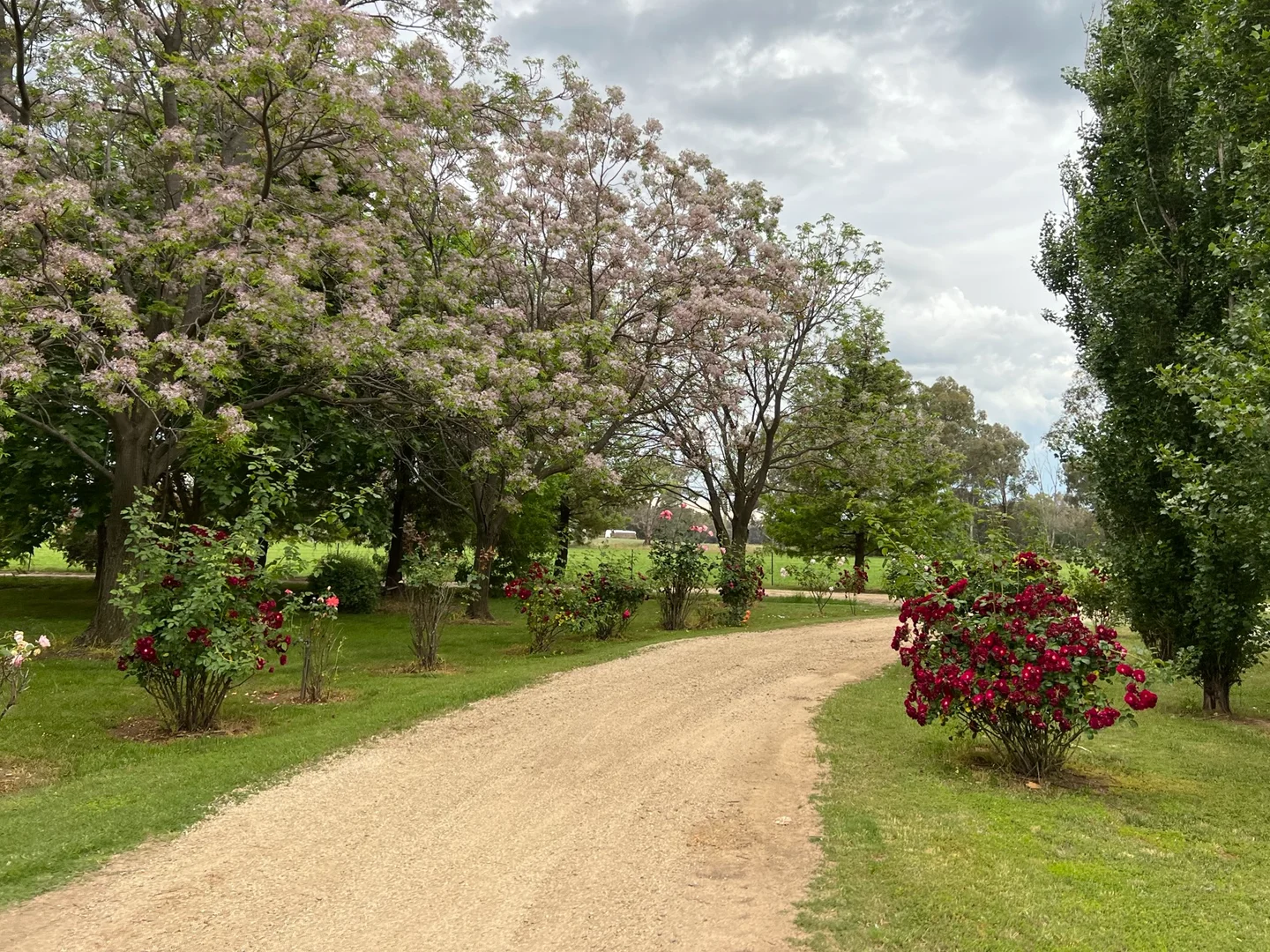 Additional image 4 of Gooloogong NSW 2805