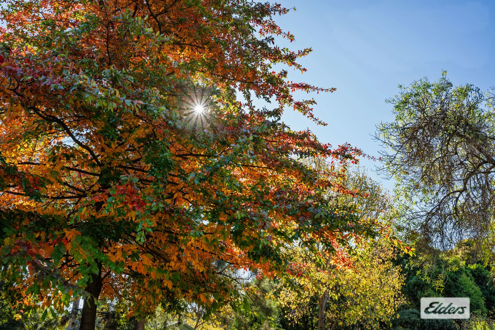 Additional image 34 of 52 Huon Creek Road, Wodonga VIC 3690