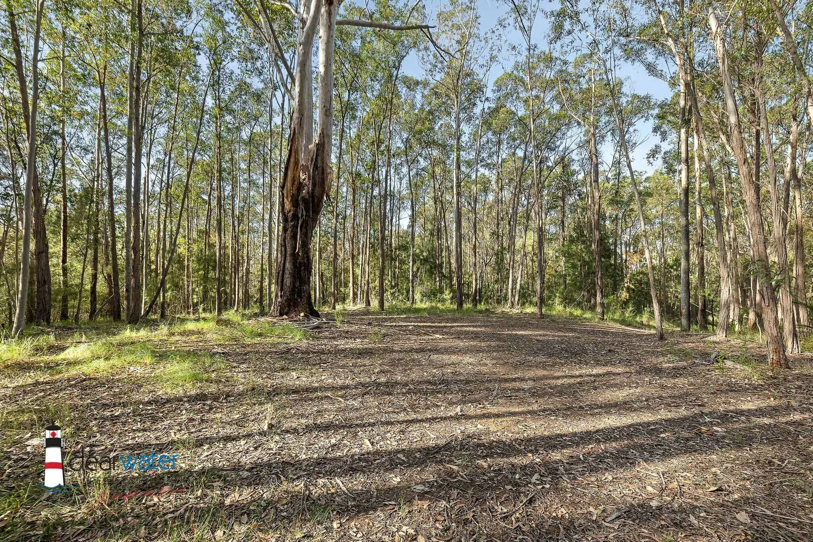 Additional image 11 of 209 Larrys Mountain Rd, Mogendoura NSW 2537