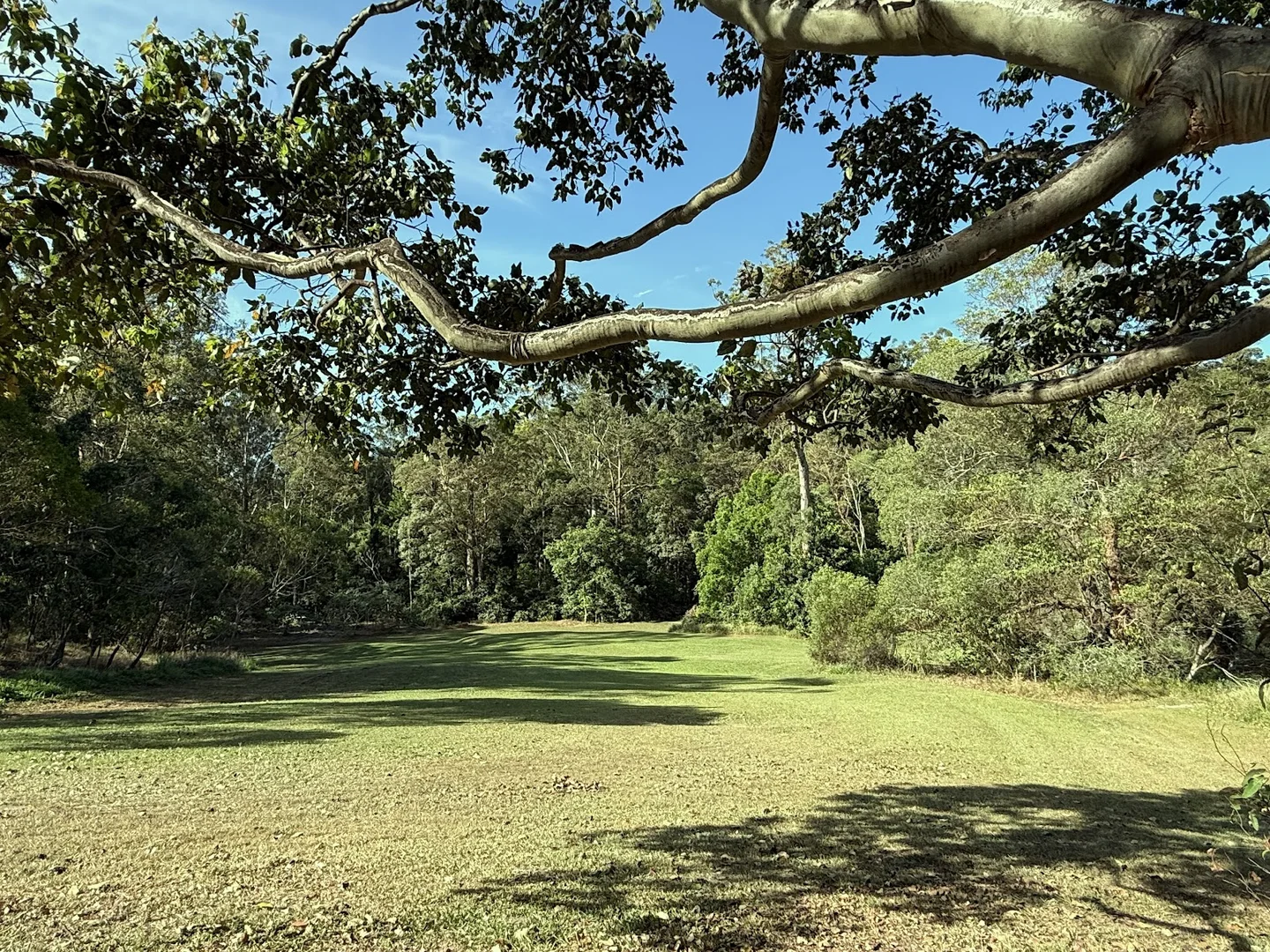 Additional image 28 of 5 Tanby Court, Mudgeeraba QLD 4213