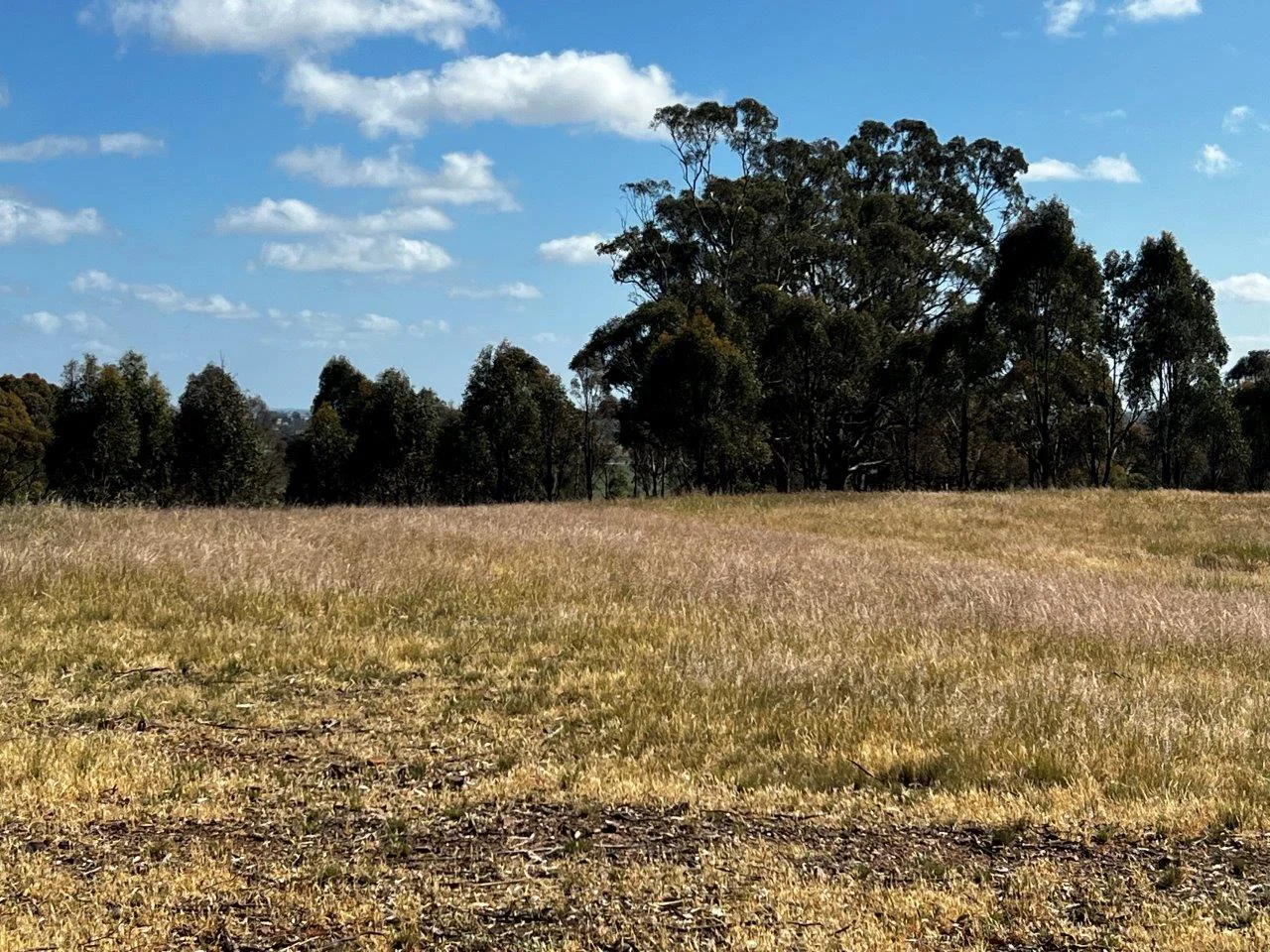 Additional image 14 of CA59D&59C Plain Road, Heathcote VIC 3523