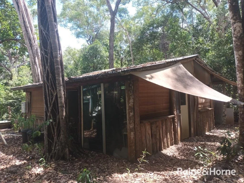 Additional image 20 of Lot 249 White Beech Road, Cow Bay, Daintree QLD 4873