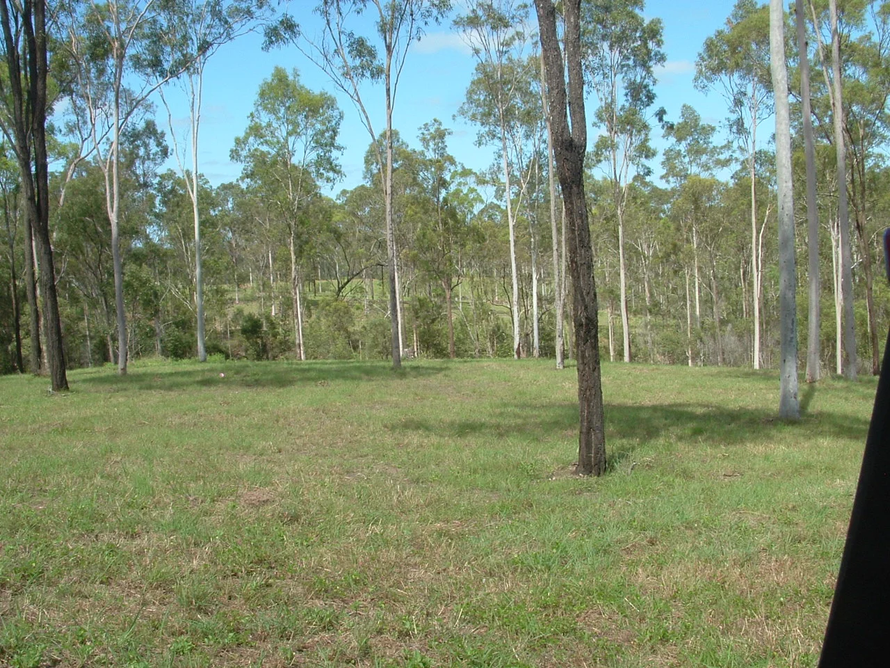 Additional image 30 of 209 Mcintyres Road, Damascus QLD 4671