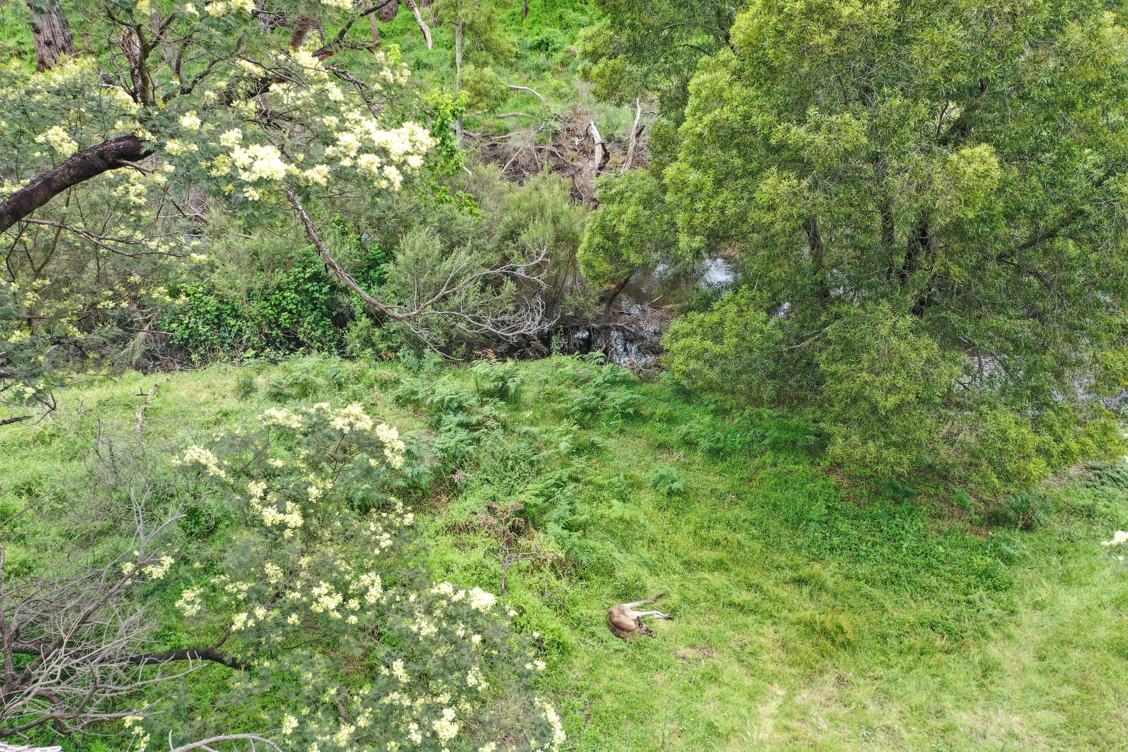 Additional image 12 of 30 Bundaleer Drive, Halls Gap VIC 3381