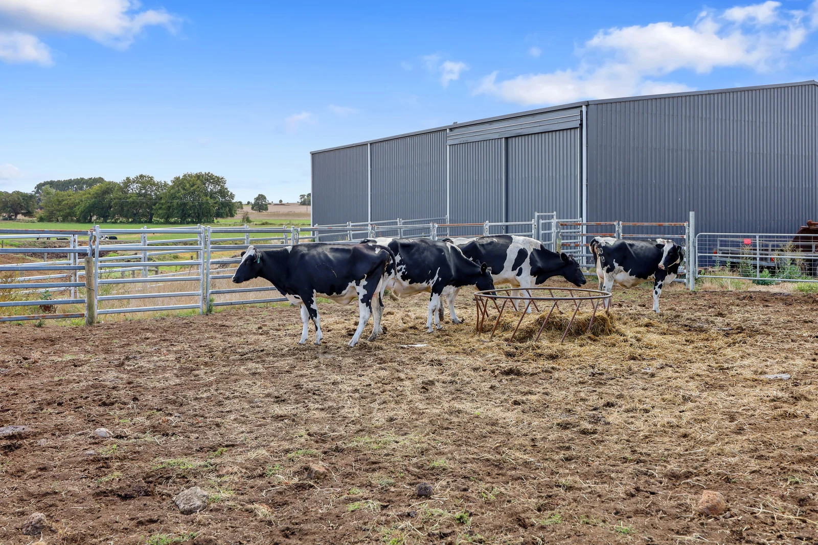 Additional image 28 of 401 Purrumbete Estate Road, Koallah VIC 3260