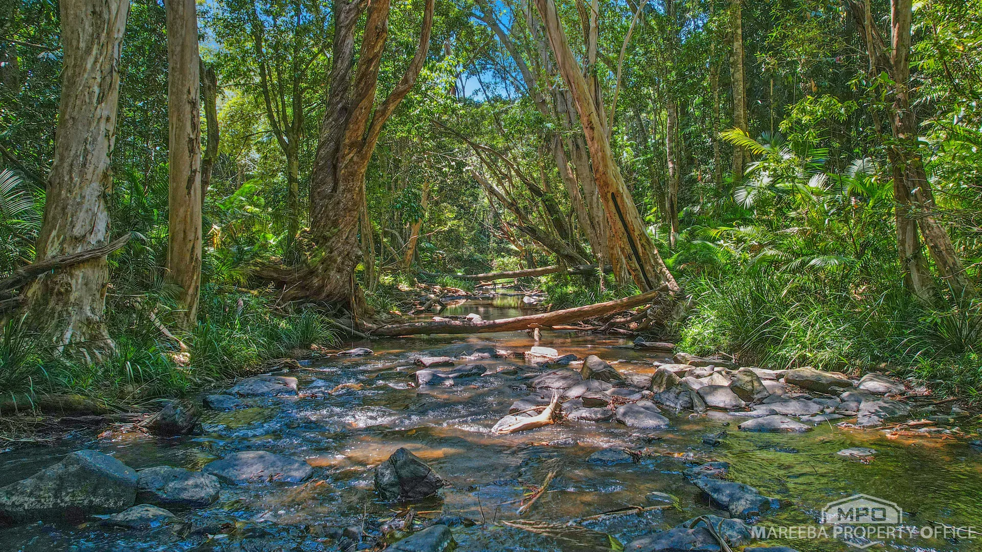 Additional image 36 of 4532 Black Mountain Road, Julatten QLD 4871