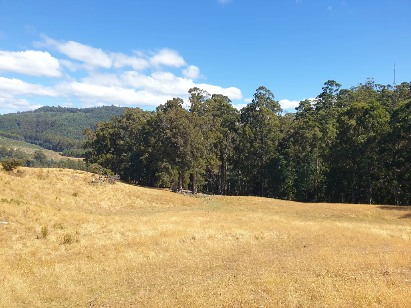 Additional image 7 of Lot 1 Huon Highway, Dover TAS 7117