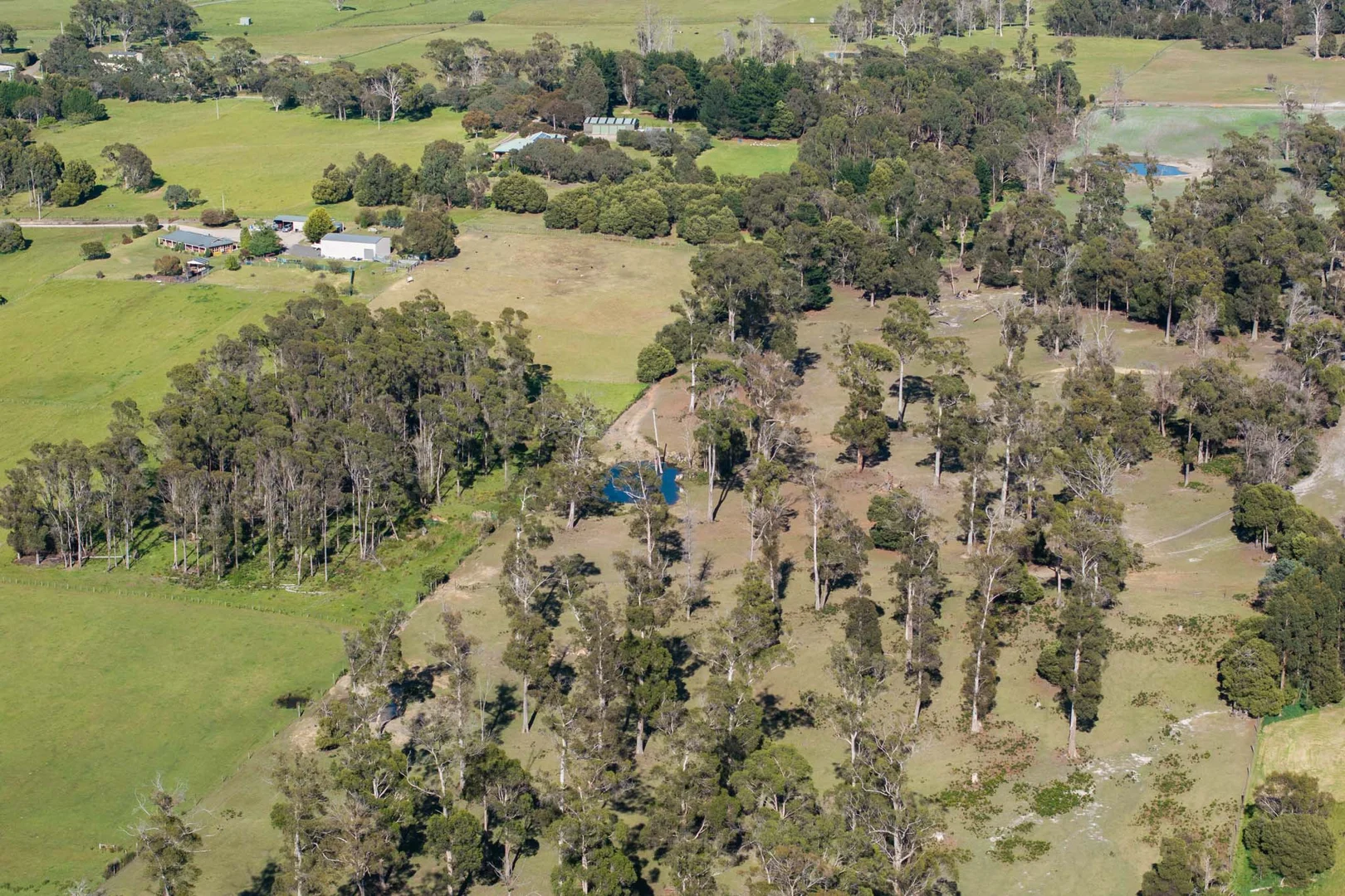 Additional image 22 of 51 Annies Lane, Northdown TAS 7307