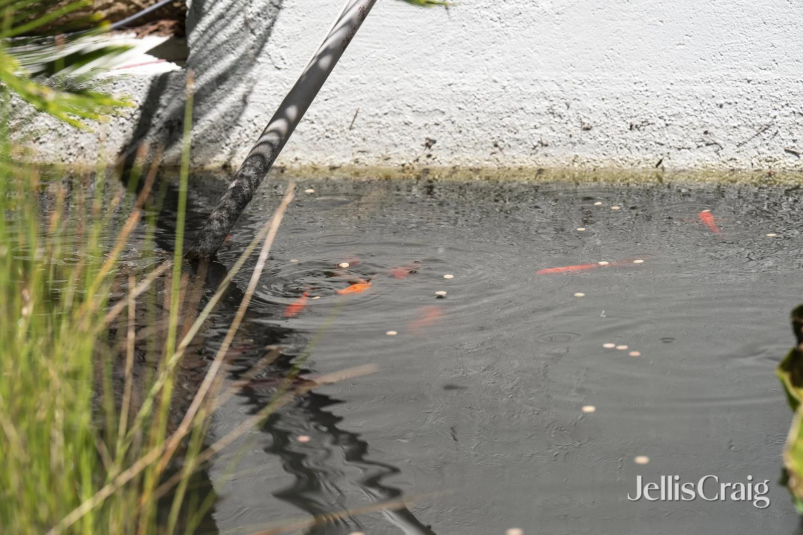 Additional image 28 of 51 Belvedere Drive, Montrose VIC 3765