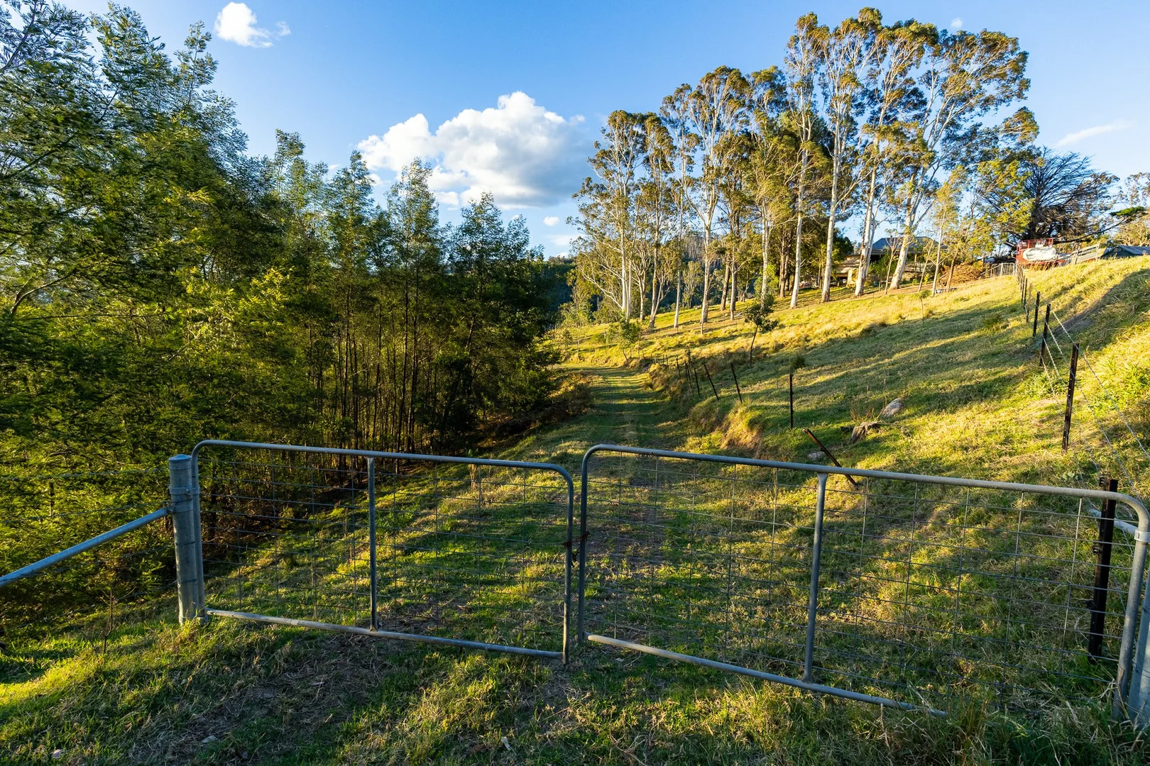 Additional image 20 of 1216 Upper Brogo Road, Brogo NSW 2550