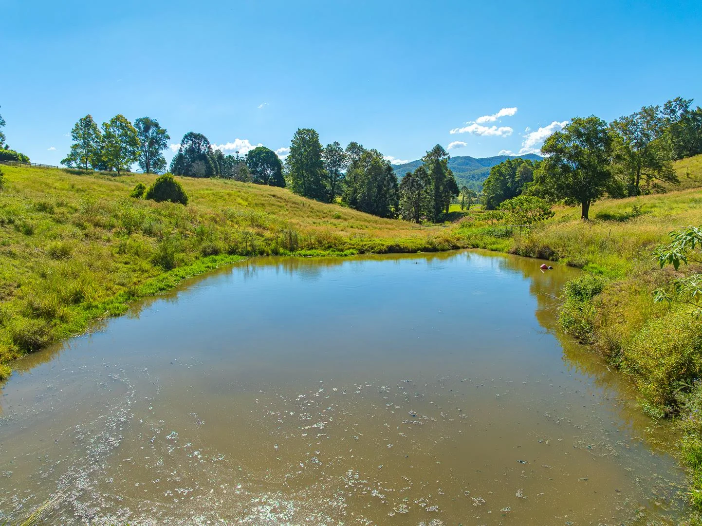 Additional image 35 of 343 Walli Mountain Road, Kenilworth QLD 4574