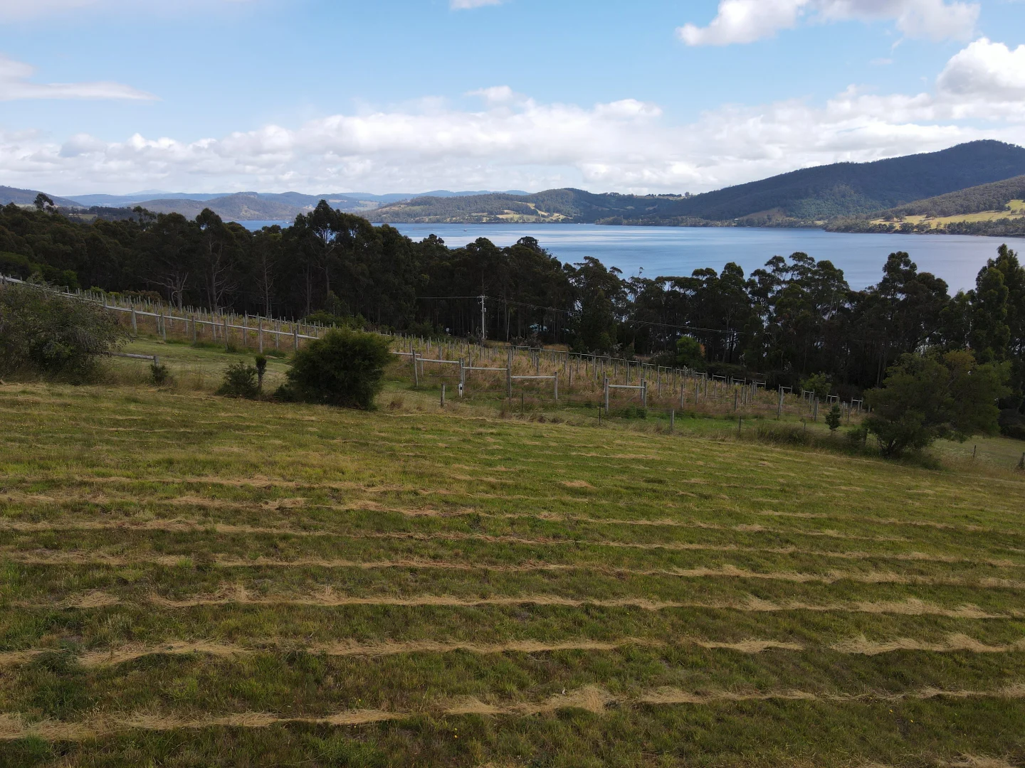 Additional image 16 of 23A White Cliffs Road, Brooks Bay TAS 7116