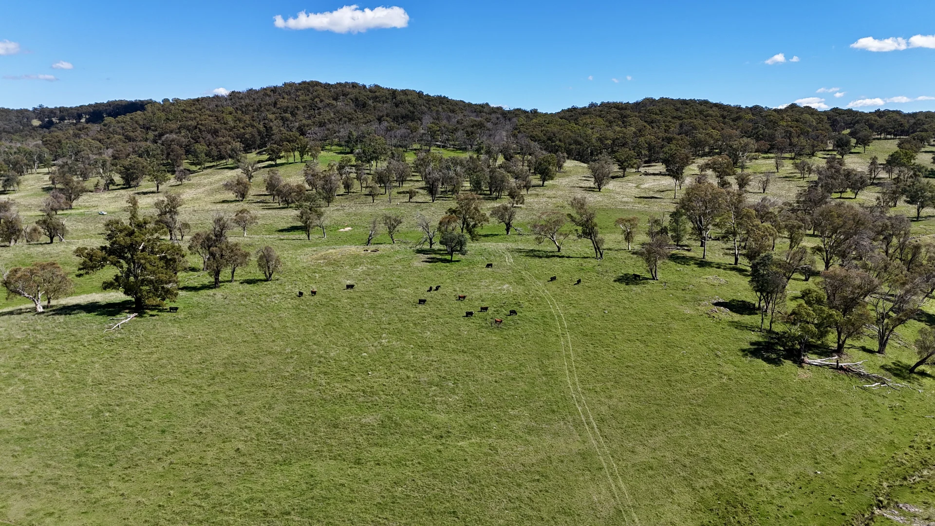 Additional image 6 of 3256 Niangala Rd, Walcha NSW 2354