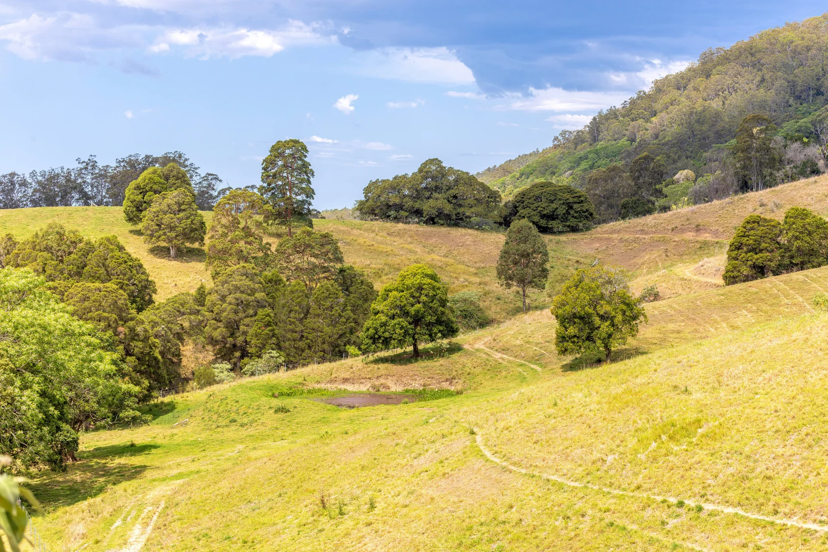 Additional image 18 of 129 Days Road, Belbora NSW 2422