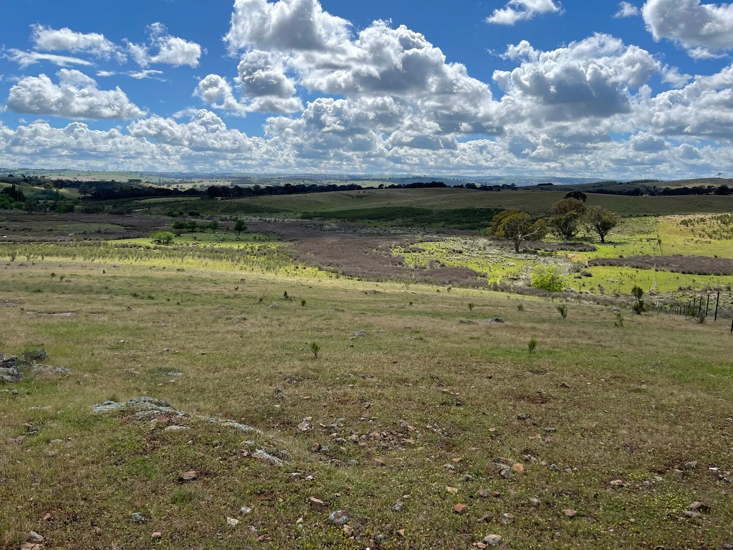 Additional image 10 of 2008 Kiowarrah Road, Bevendale NSW 2581