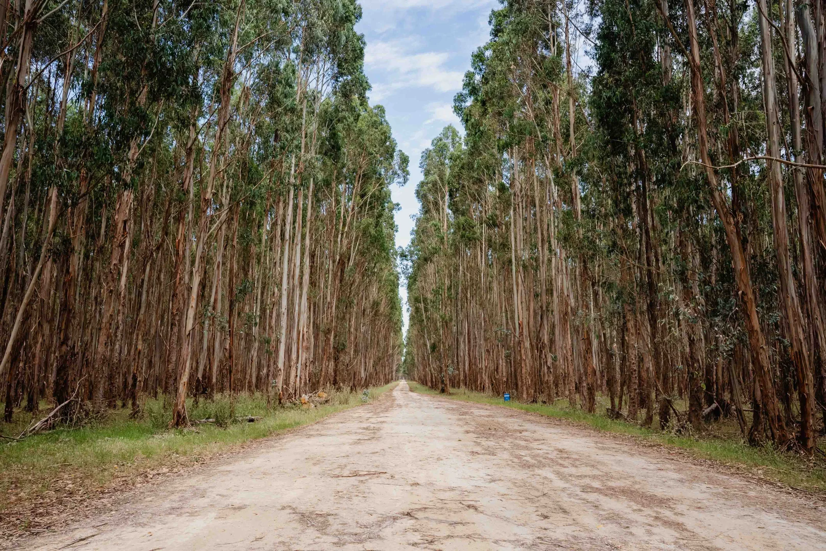 Additional image 11 of Wattle Range SA 5280