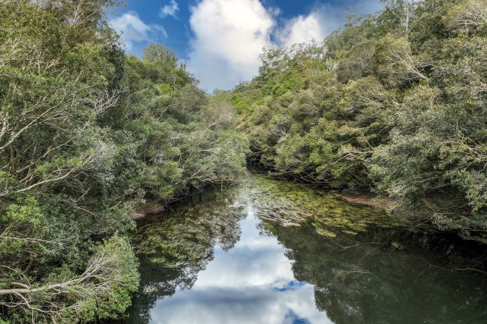 Additional image 19 of 56 Carisbrook Road, Morton NSW 2538