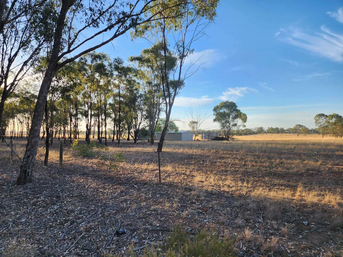 Additional image 21 of 1898 Elmore-Raywood Road, Kamarooka VIC 3570