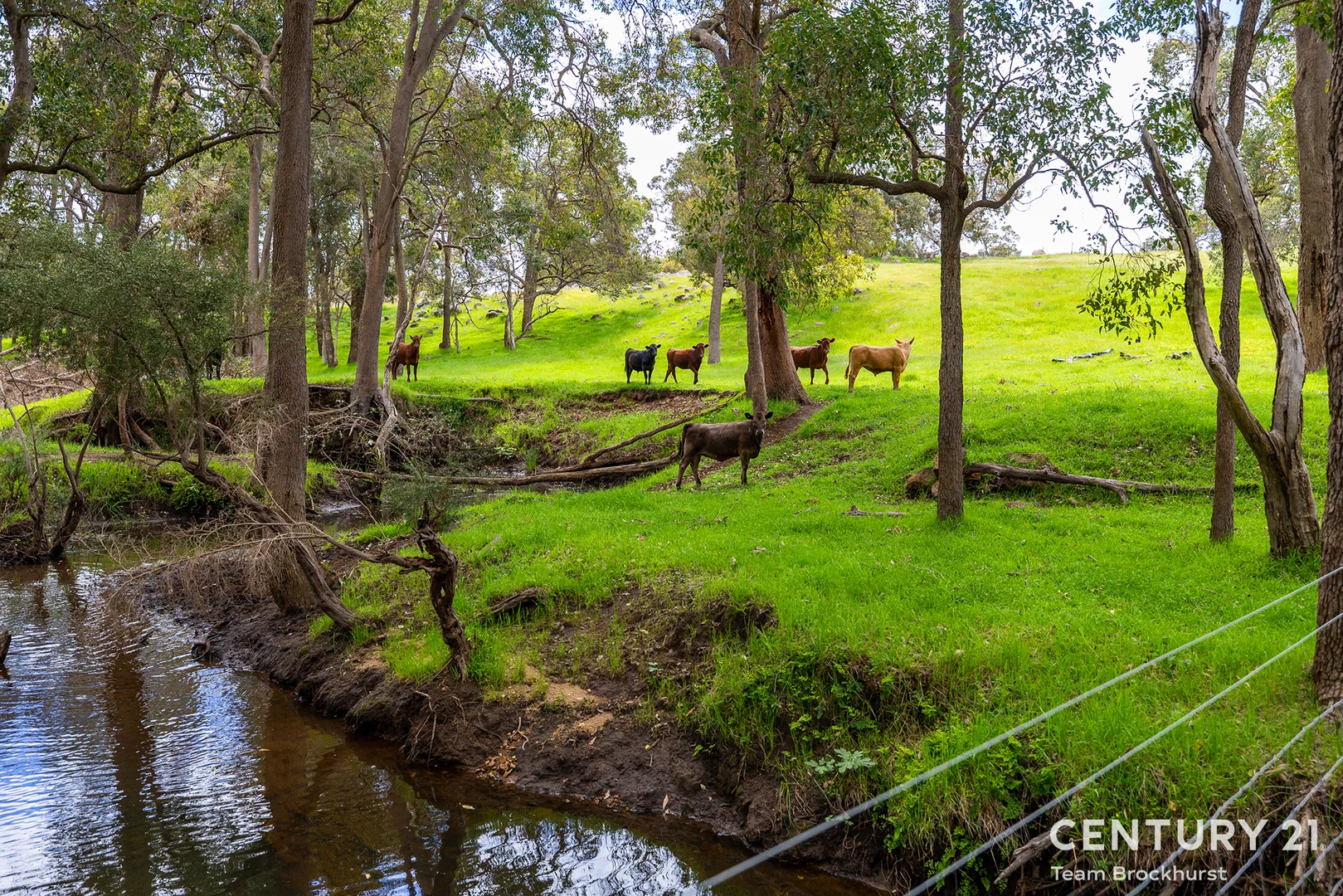 Additional image 34 of Lot 199 Morrell Road, Fairbridge WA 6208