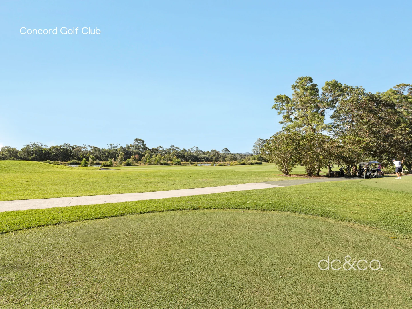 Additional image 2 of 97 Links Avenue, Concord NSW 2137