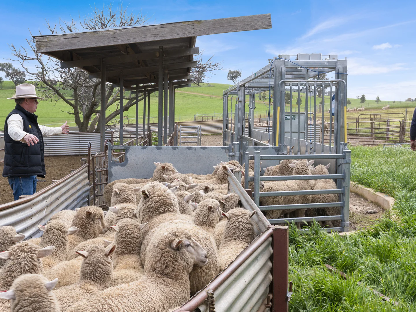 Additional image 26 of 2056 Benalla-Yarrawona Road, Bungeet West VIC 3726