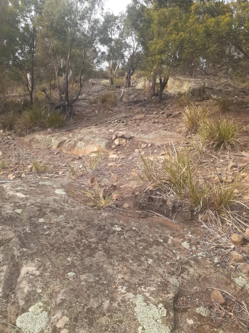 Additional image 8 of 1356 Tea Tree Rd, Campania TAS 7026