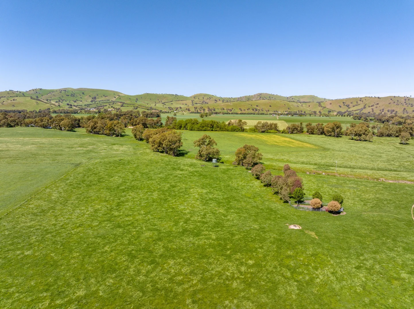 Additional image 15 of 44 Dodd Street, Gundagai NSW 2722